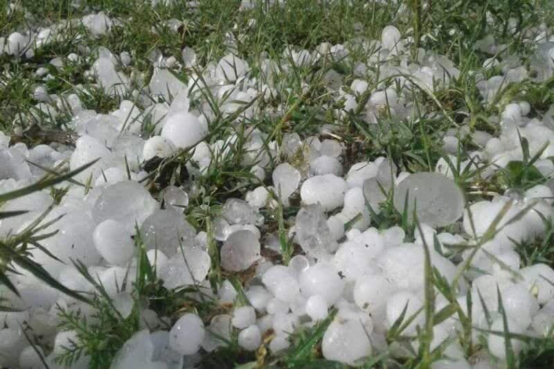 خسارت بارش شدید تگرگ به باغات و مزارع شهرستان مرند