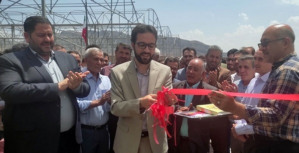 افتتاح و بهره برداری از گلخانه هیدروپونیک در شهرستان مرند