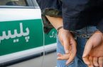 دستگیری سارقان اماکن خصوصی و محتویات داخل خودرو با ۴۸ فقره سرقت در ” مرند”