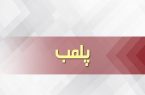 پلمب ۴ کارگاه غیرمجاز تولید خوراک دام و طیور در مرند