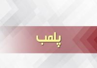 پلمب ۴ کارگاه غیرمجاز تولید خوراک دام و طیور در مرند