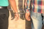 دستگیری سارقان حرفه ای خانه باغ با ۲۶ فقره سرقت در مرند