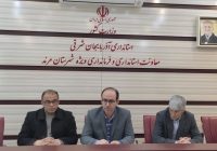 ۴۰ روز بدون کمبود آرد و نان در مرند / نظارت بر نانوایی‌ها تشدید می‌شود